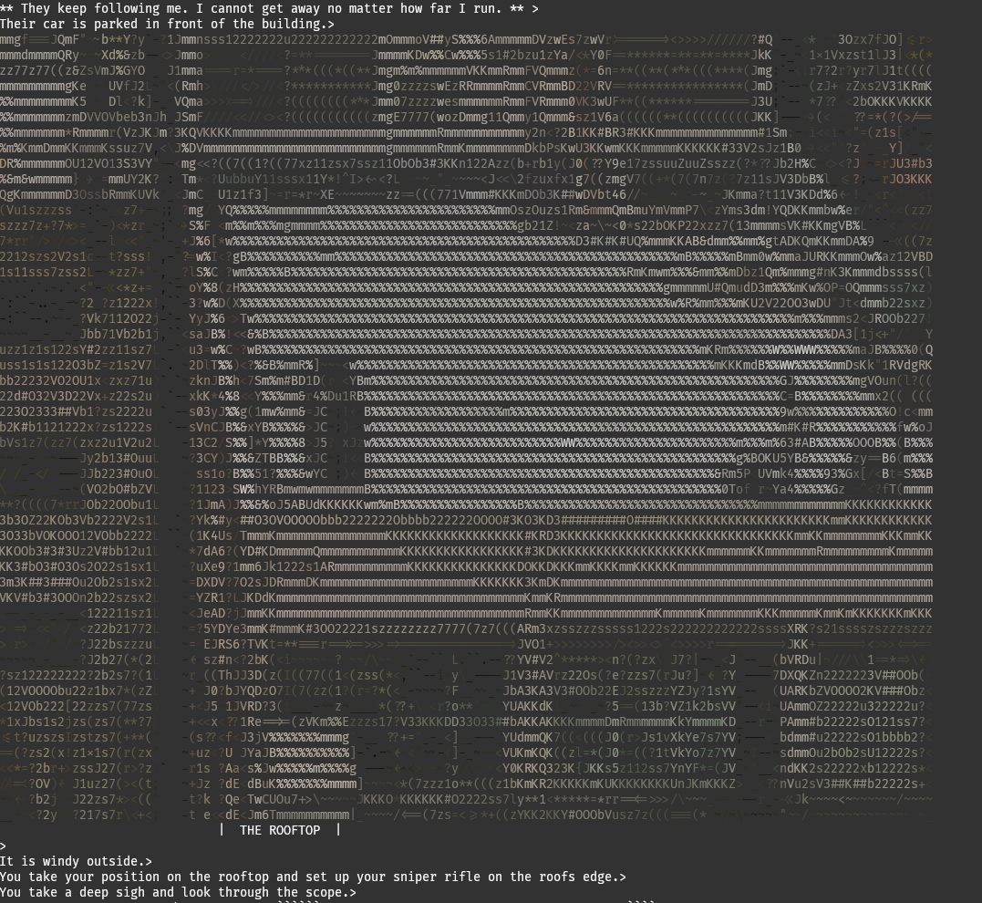 rooftop asci art for gun